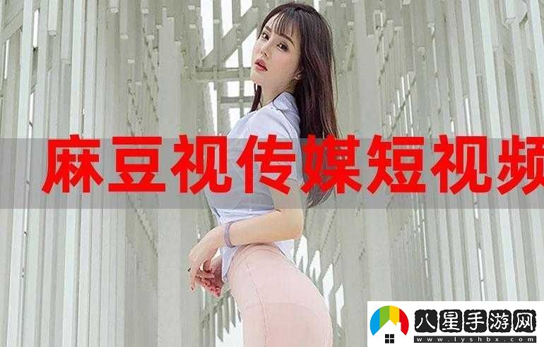 麻豆國產(chǎn)傳媒精品視頻