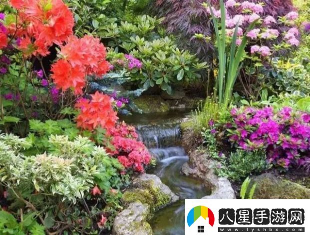 小寶探花一場(chǎng)融合科學(xué)探究和自然美學(xué)的獨特花卉世界之旅