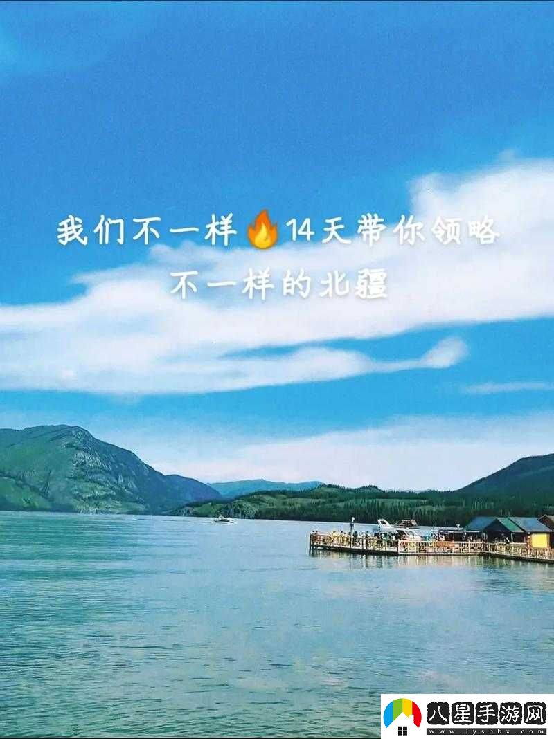 野花社區看日本