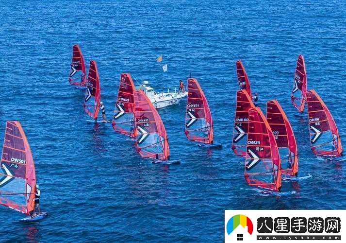 競技風(fēng)箏術(shù)
