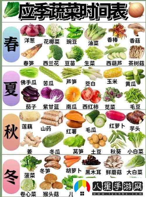 燃燒的蔬菜3星滿(mǎn)級花椰菜攻擊力分析