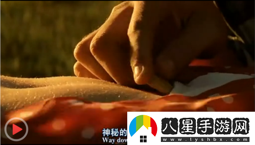 關(guān)于禁用大尺度插