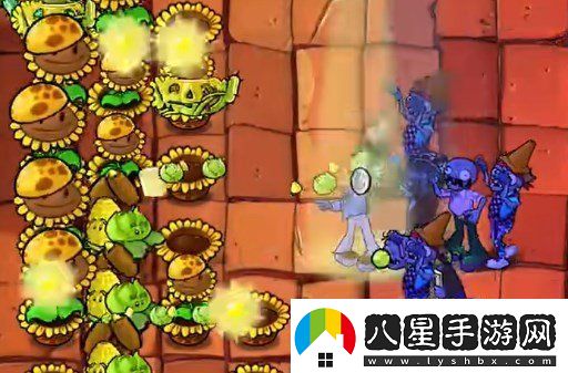 植物大戰僵尸雜交版挑戰模式第八關(guān)如何闖關(guān)