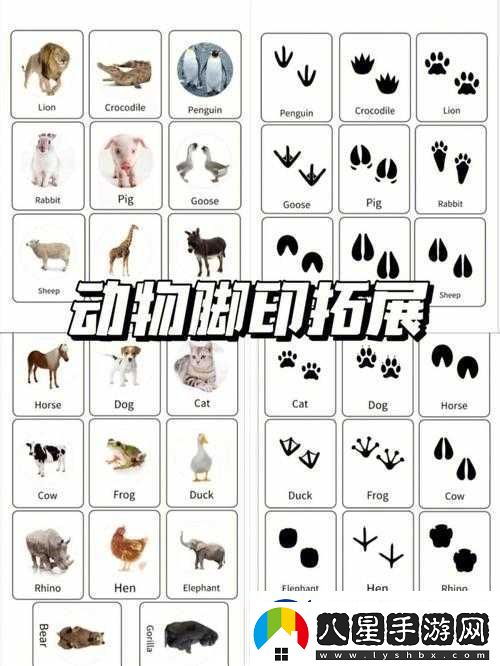 逗趣國冒險之旅