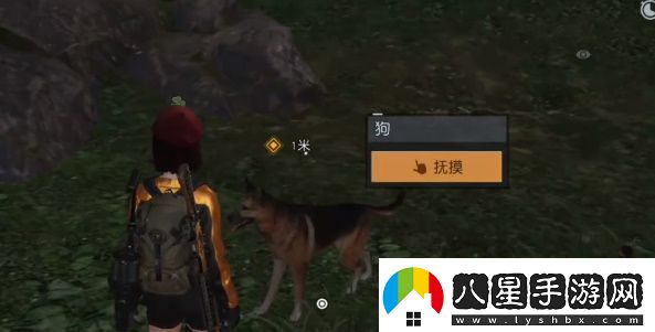 黎明覺(jué)醒寵物系統解鎖攻略