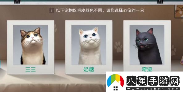 黎明覺(jué)醒寵物系統解鎖攻略