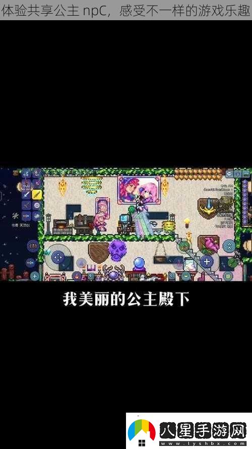 體驗共享公主
