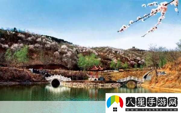 jy收集系統白清素探索白清素的神秘世界與應用潛力