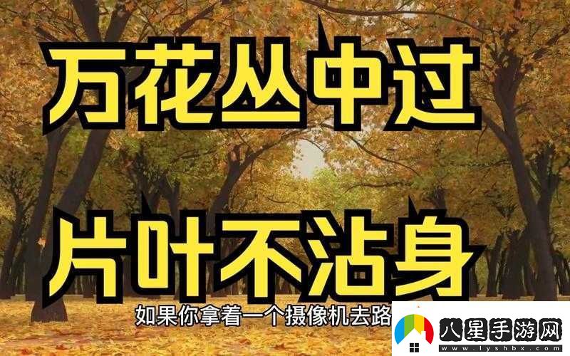 武林外傳手游萬(wàn)花叢中過(guò)片葉不沾身稱(chēng)號的獲取秘籍