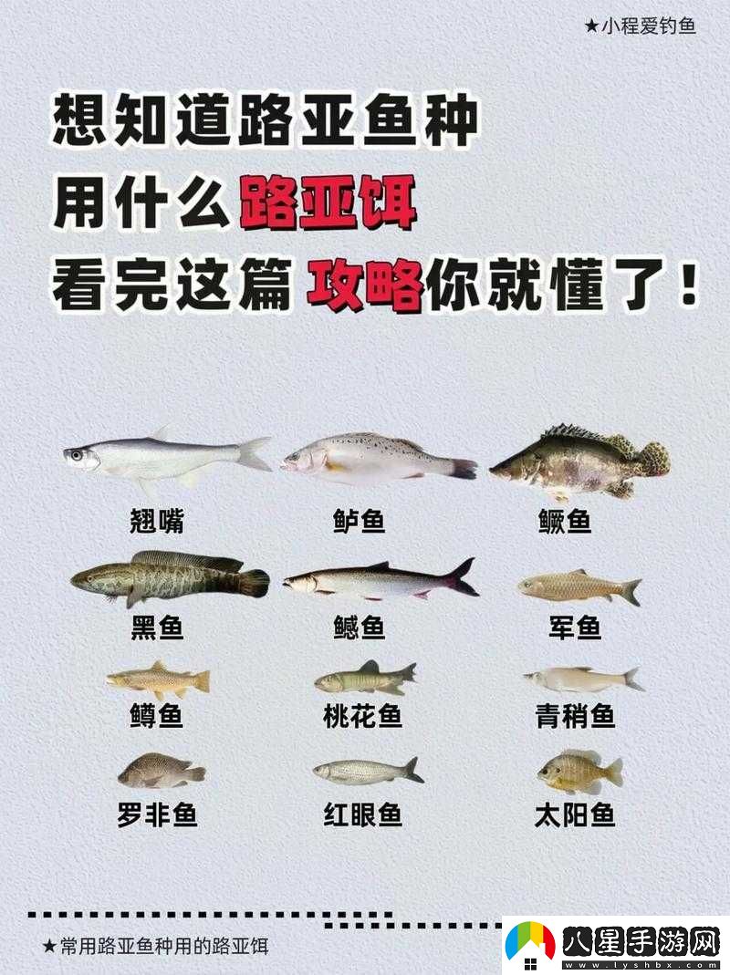 荒野大鏢客2傳說(shuō)紅鮭魚(yú)地圖分布及釣魚(yú)攻略詳解