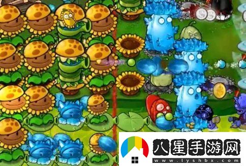 植物大戰僵尸雜交版63關(guān)怎么過(guò)