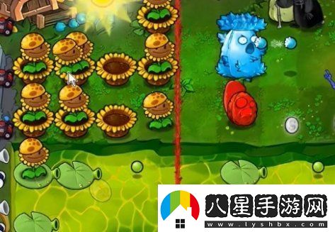 植物大戰僵尸雜交版63關(guān)怎么過(guò)