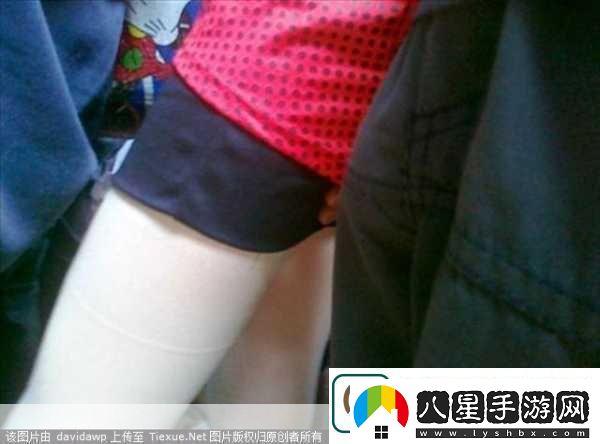 公交車(chē)上的咸豬手1,公交車(chē)上的咸豬手