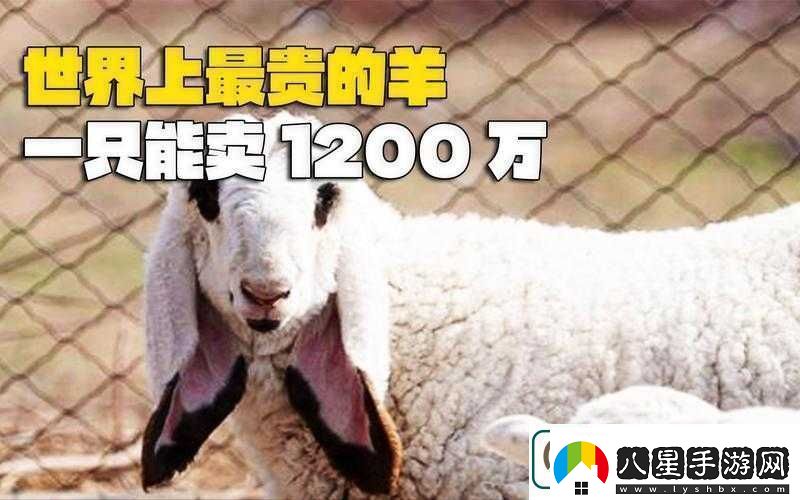 人類(lèi)黎明之羊毛大發(fā)現