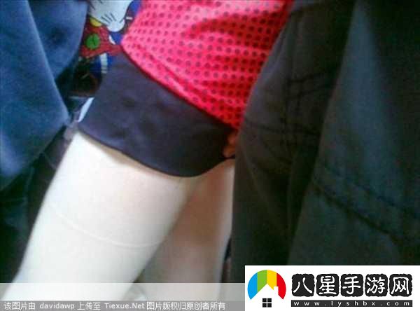 公交車(chē)上的咸豬手