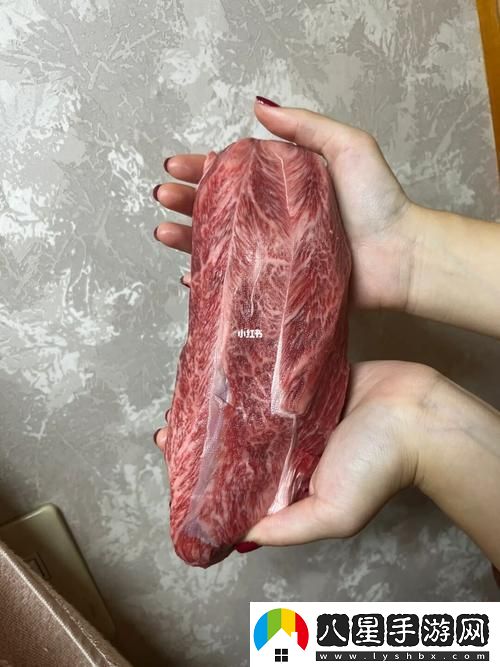 大肉大捧一進(jìn)一出的視頻