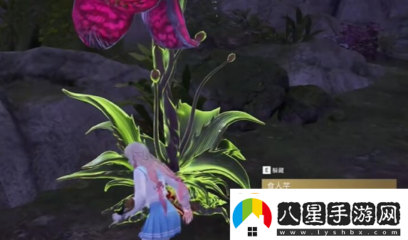 永劫無(wú)間龍隱洞天食人芋位置分享