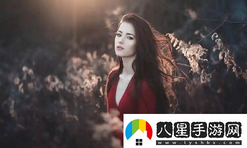 2024年日本免費三色電費政策掀起熱潮！友