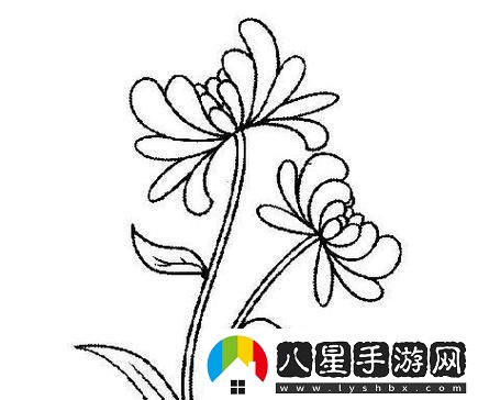“六年級菊花”塞筆奇談