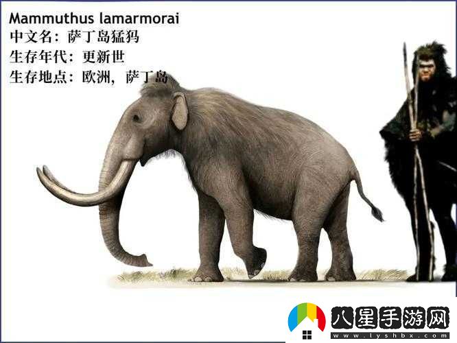瘋狂動(dòng)物園巧克力風(fēng)味新體驗