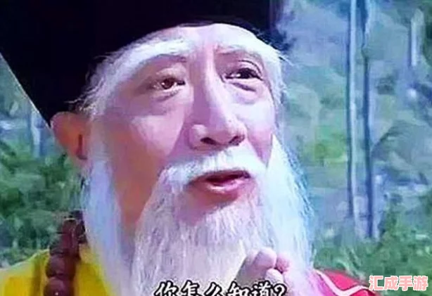 九陰真經(jīng)武當二內困境突破