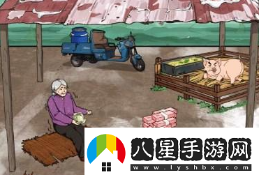 文字來(lái)找茬豬圈老人通關(guān)攻略