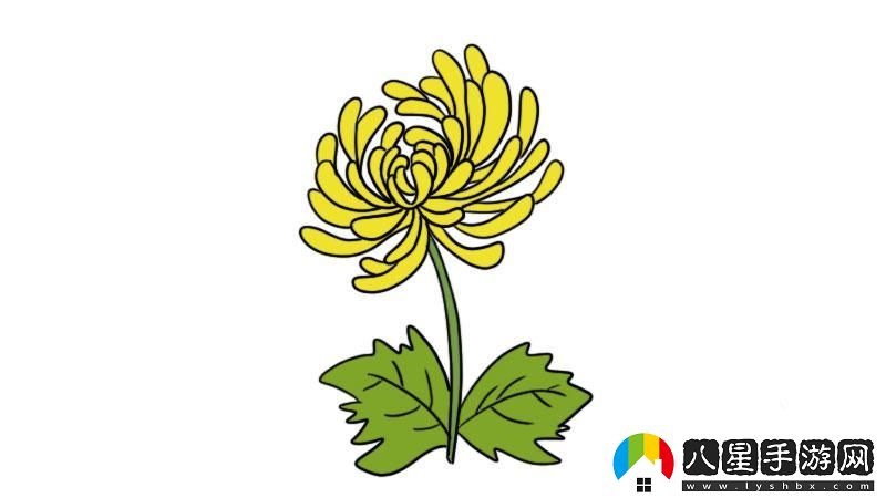 “六年級菊花”塞筆奇談