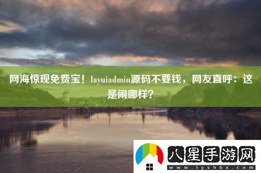 網(wǎng)海驚現免費寶！layuiadmin源碼不要錢(qián)