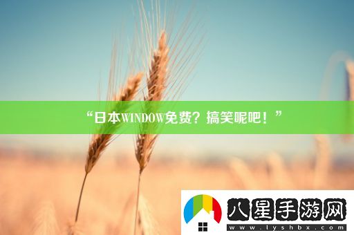 “日本W(wǎng)INDOW免費