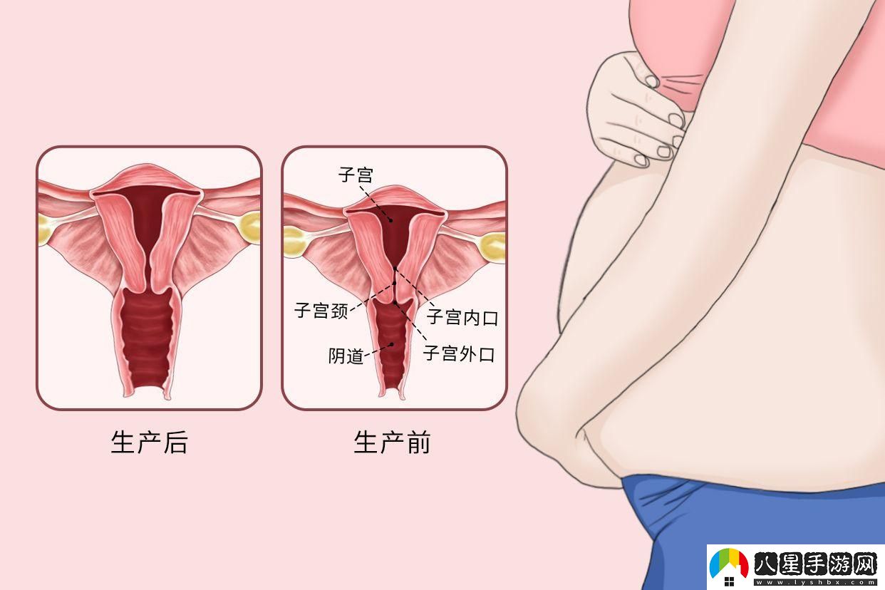 “震撼解析
