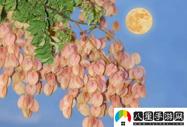 江湖悠悠最新