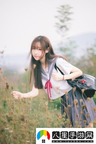 國內永久免費saas