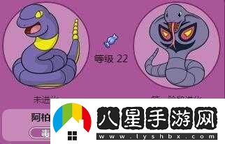 口袋妖怪與精靈百科全書(shū)深度解析