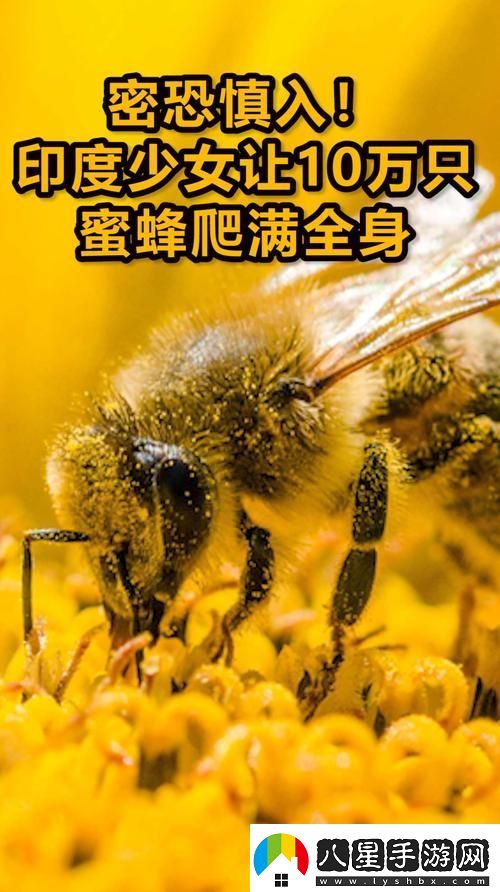 內容豐富一下痛兩下麻三下就像蜜蜂爬