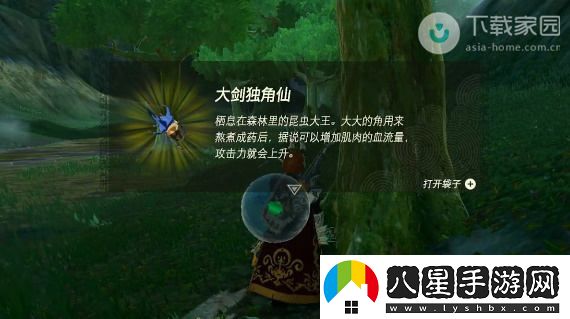 塞爾達傳說(shuō)王國之淚獨角仙獲取位置及詳細攻略解析