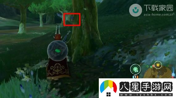 塞爾達傳說(shuō)王國之淚獨角仙獲取位置及詳細攻略解析