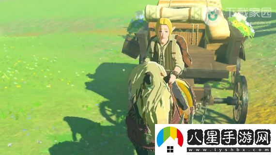 塞爾達傳說(shuō)王國之淚獨角仙獲取位置及詳細攻略解析