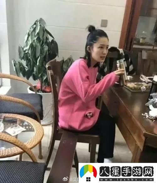 王麻子與黃婉兒的科技鄉旅