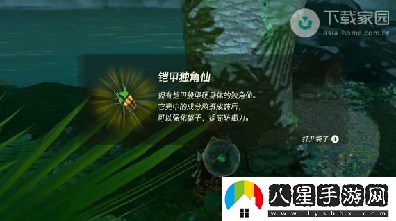 塞爾達傳說(shuō)王國之淚獨角仙獲取位置及詳細攻略解析
