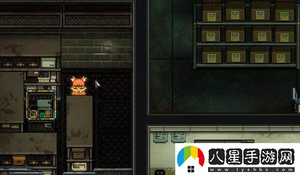 獲取動(dòng)物迷城光盤(pán)的具體步驟與方法分享