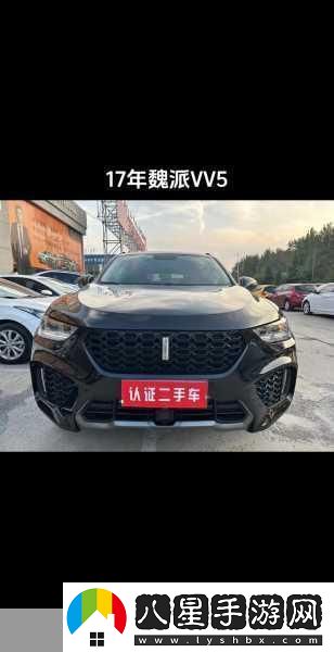 WEYVV5國產(chǎn)的SUV領(lǐng)袖