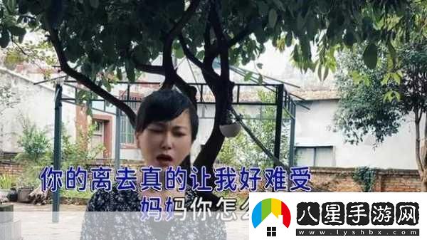 高清mv媽媽我想你看完淚目1.媽媽我在異鄉思念您的溫暖懷抱