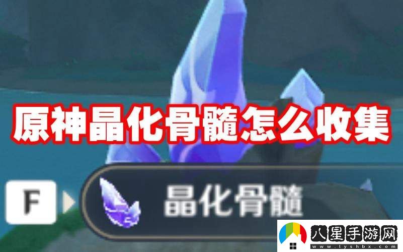 如何高效收集原神中的晶化骨髓，獲得更多資源的方法