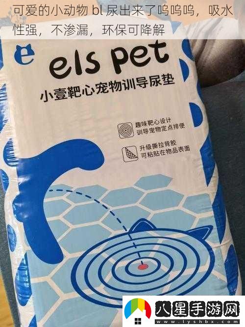 可愛(ài)的小動(dòng)物