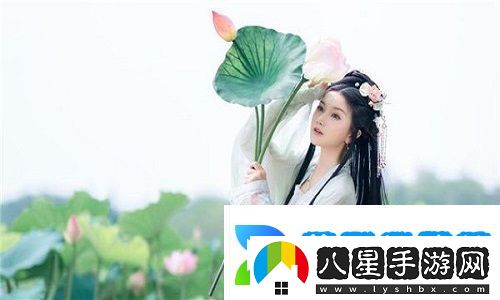 探索數字世界的無(wú)限可能