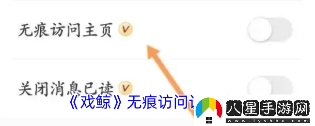 戲鯨怎么隱身訪(fǎng)問(wèn)