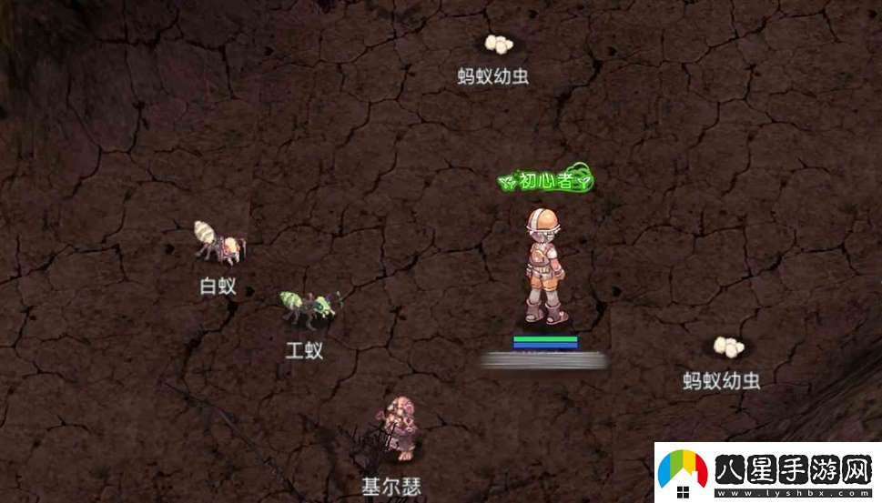 巴風(fēng)特之怒卡冊爆率高的地方在哪