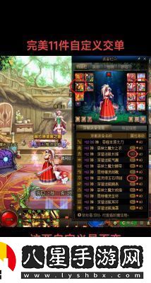 地下城與勇士DNF絕版寶寶收藏指南！