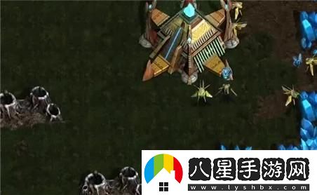 五莊觀(guān)加點(diǎn)技巧全面解析：如何提升角色戰斗力與技能效果