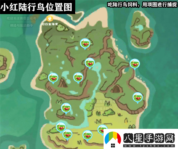 創(chuàng  )造與魔法小紅陸行鳥(niǎo)在哪里